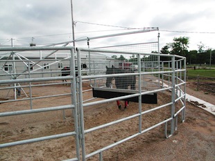 gate-panel-fence-panel